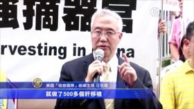 （视频）欲盖弥彰（一）