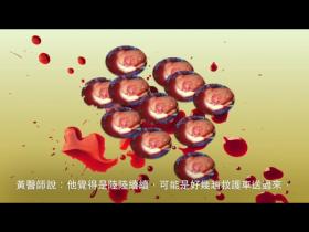  （视频） - 人体器官也批发