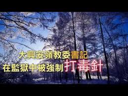 教委书记在监狱中被强制打毒针
