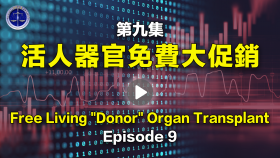 第9集縮略圖