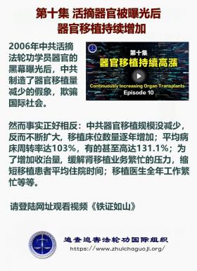  铁证如山 第10集1