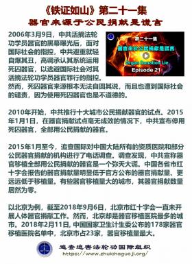 铁证如山 第21集1