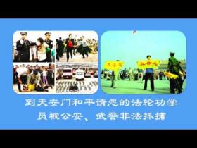 （视频）活摘法轮功学员器官系列真相 之一