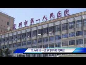 （视频）2016器官活摘最新口供 