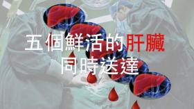 （视频）《五个鲜活的肝脏同时送达》