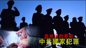 (视频）《血淋淋的罪恶－中共国家犯罪》