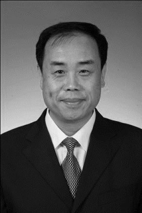 山东大学齐鲁医院血液净化器官移植中心主任田军